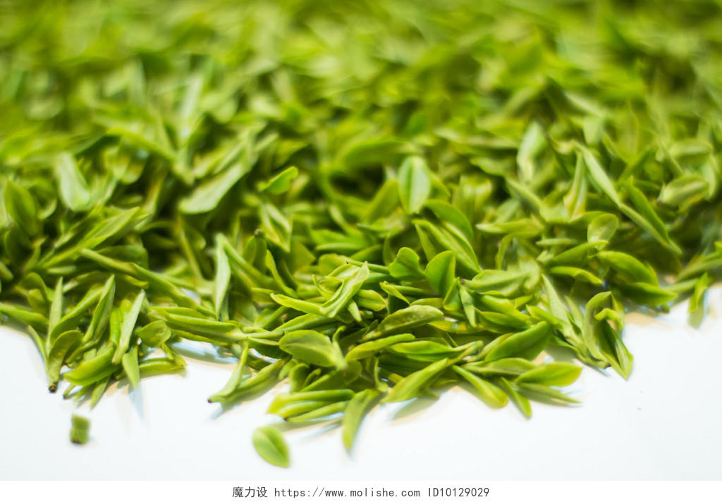 采茶清明节 清明特写绿色茶山茶叶背景图片